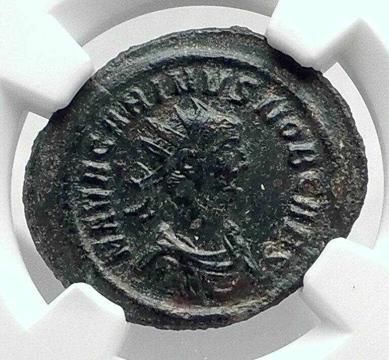 CARINUS as CAESAR Authentic Ancient 282AD Rome Genuine Roman Coin NGC i80390