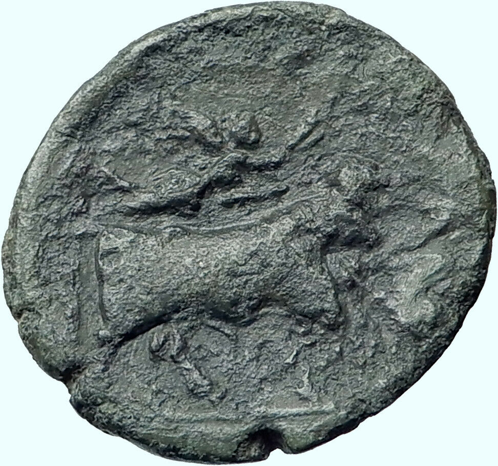 NEAPOLIS in CAMPANIA 270BC Nike Apollo Man-Headed Bull Ancient Greek Coin i40776