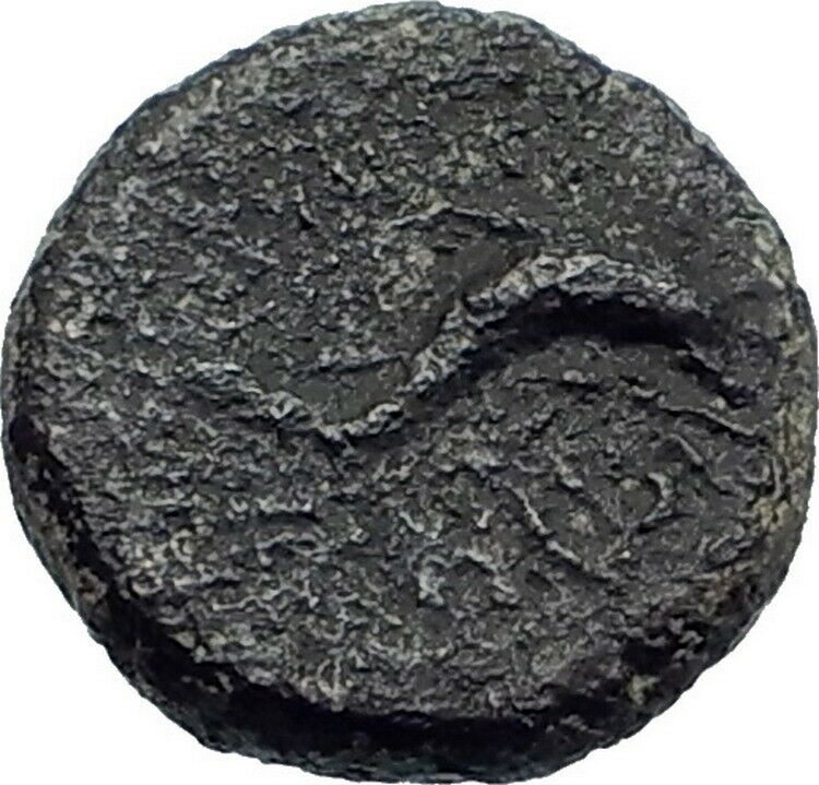 Solus in Sicily 2ndCenBC Dolphin Tuna Fish Authentic Ancient Greek Coin i43653