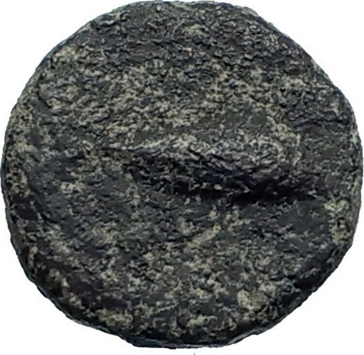 Solus in Sicily 2ndCenBC Dolphin Tuna Fish Authentic Ancient Greek Coin i43653