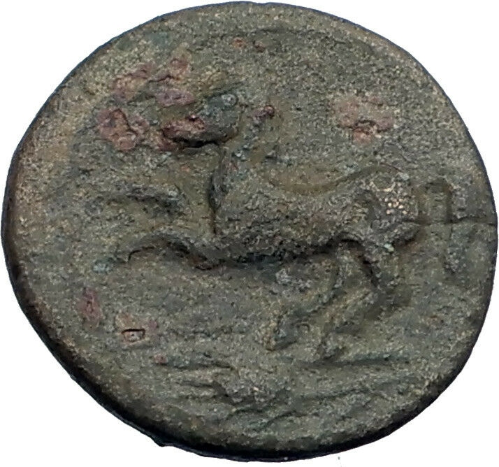 KAMARINA in SICILY 339BC Athena Horse Authentic Ancient R1 Greek Coin i43601