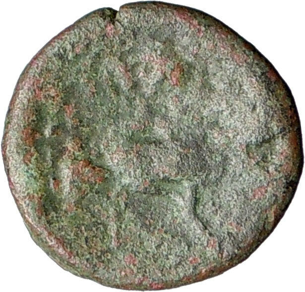 Katane in Sicily Ancient Greek Coin Jugate busts of Zeus and Isis Cult i28154