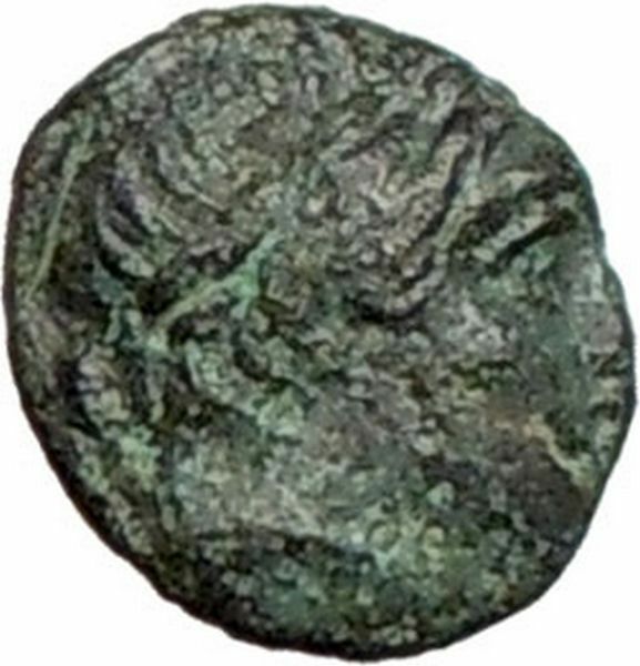 Pergamon in Asia Minor 350BC Ancient Greek Coin Apollo Bull heads Rare i27623