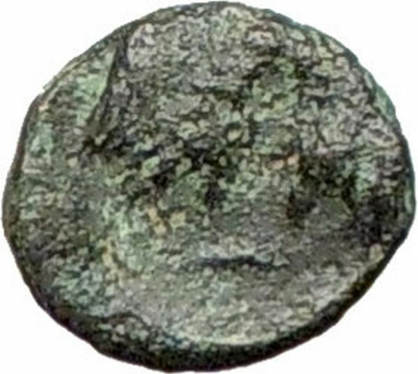 Pergamon in Asia Minor 350BC Ancient Greek Coin Apollo Bull heads Rare i27623