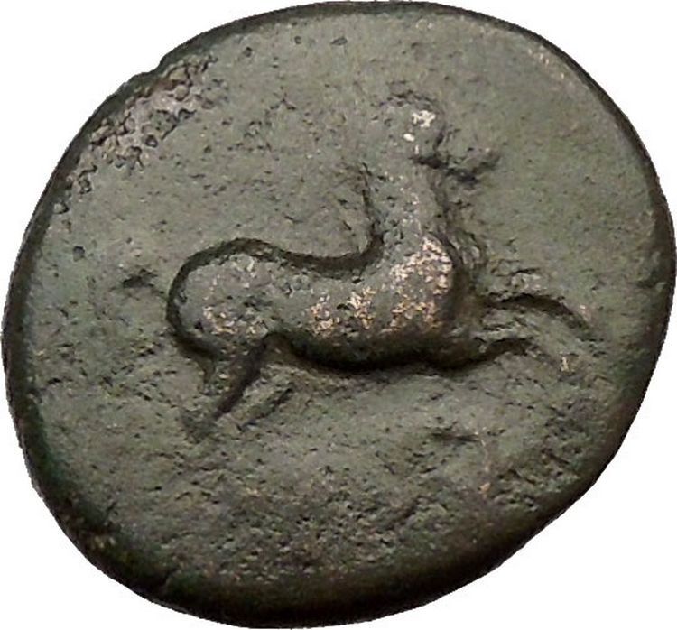 Maroneia in Thrace 400BC Original Ancient Greek Coin Horse Vine Grapes i36949