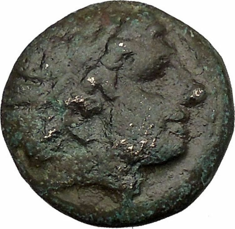 Alexander III The Great 336BC Ancient Greek Coin APOLLO Cult HORSE i37060