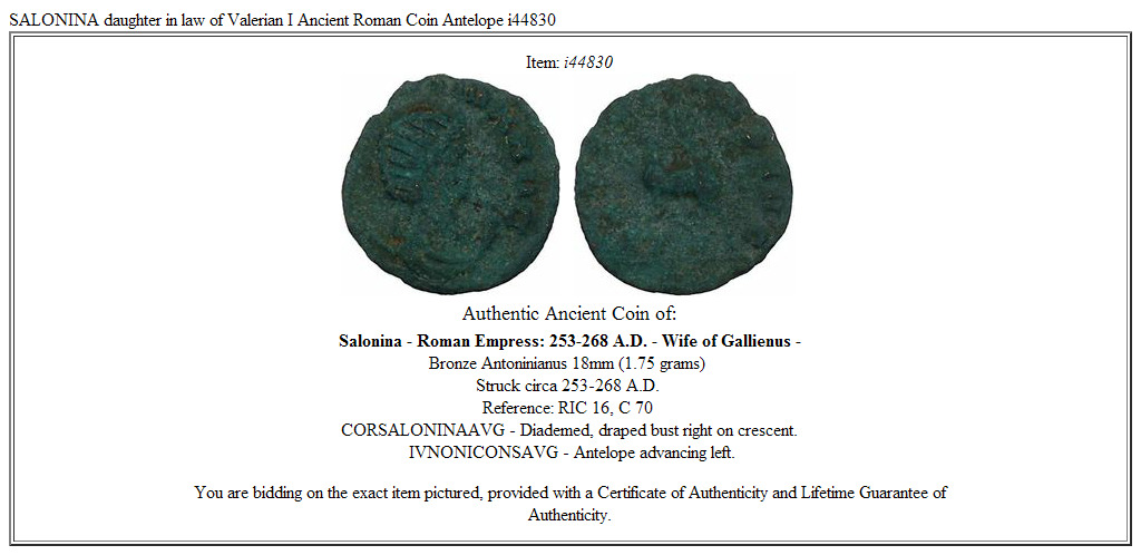 SALONINA daughter in law of Valerian I Ancient Roman Coin Antelope i44830