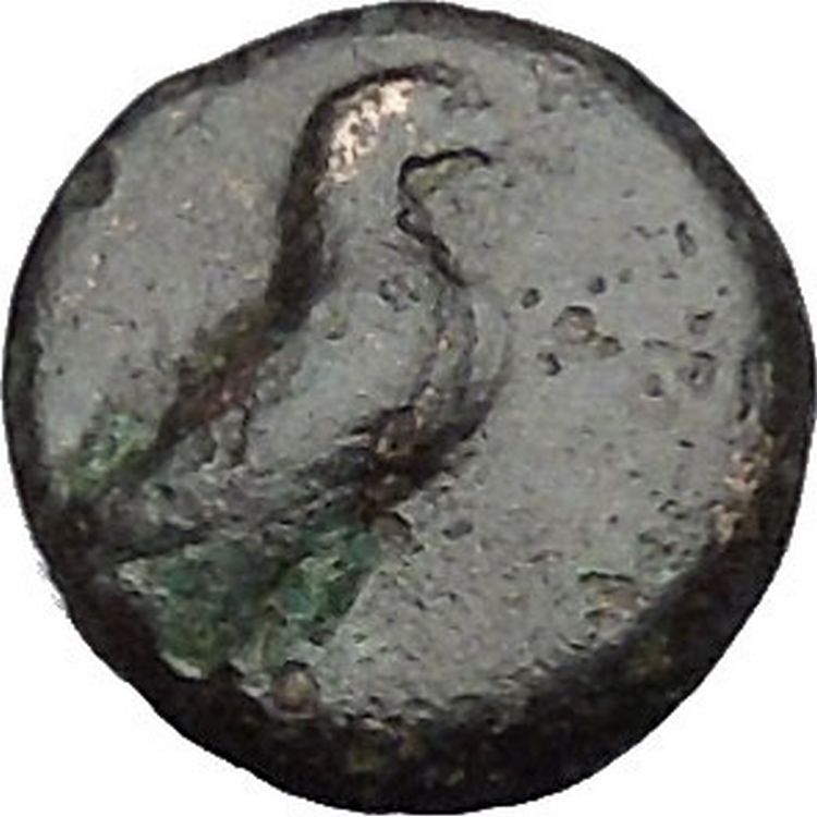 Kyme in Aeolis 350BC EAGLE & VASE on Authentic Ancient Greek Coin i48061