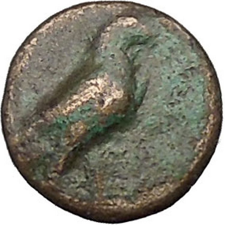 Kyme in Aeolis 350BC EAGLE & VASE on Authentic Ancient Greek Coin i48075