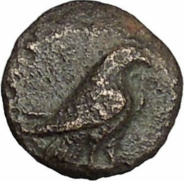 Kyme in Aeolis 350BC EAGLE & VASE on Authentic Ancient Greek Coin i48081