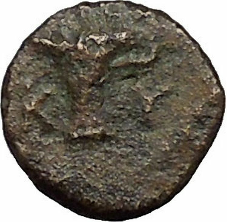 Kyme in Aeolis 350BC EAGLE & VASE on Authentic Ancient Greek Coin i48081