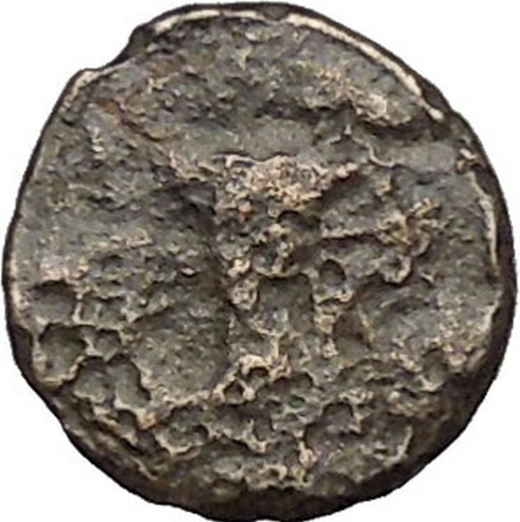 Kyme in Aeolis 350BC EAGLE & VASE on Authentic Ancient Greek Coin i48078