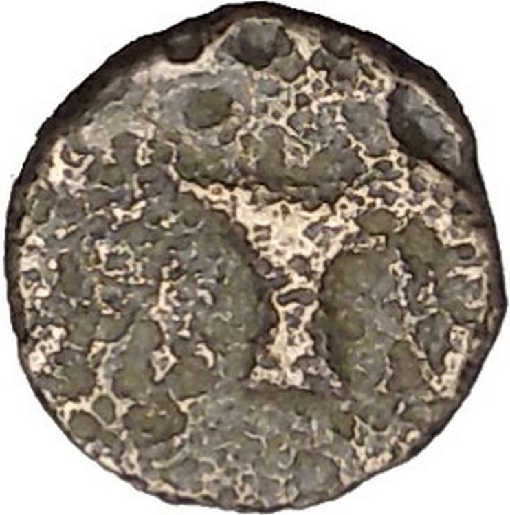 Kyme in Aeolis 350BC EAGLE & VASE on Authentic Ancient Greek Coin i48083