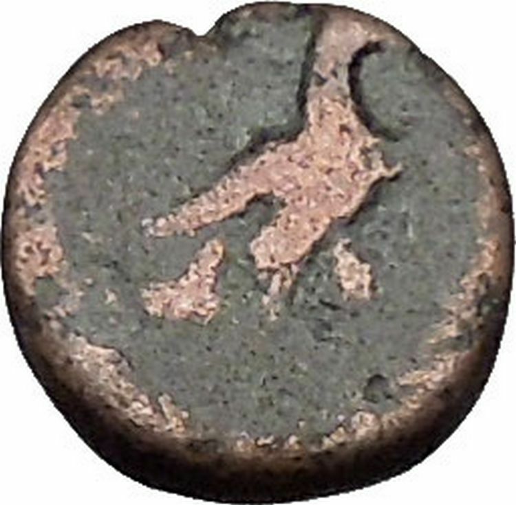 Kyme in Aeolis 350BC EAGLE & VASE on Authentic Ancient Greek Coin i48059