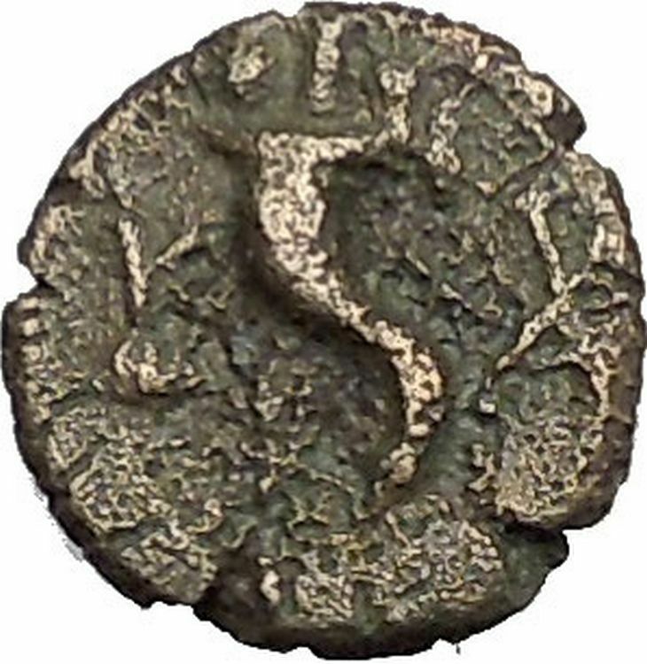 Kaunos in Caria 191BC Ancient Greek Coin Alexander the Great Cornucopia i49013