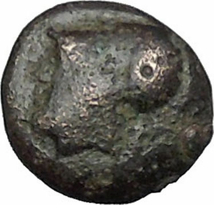 Elaia in Asia Minor 4th-3rdCentBC Ancient Greek Coin Athena Corn-grain i49052