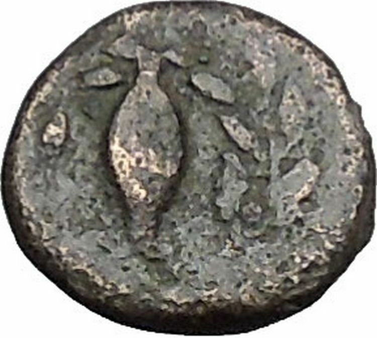 Elaia in Asia Minor 4th-3rdCentBC Ancient Greek Coin Athena Corn-grain i49052