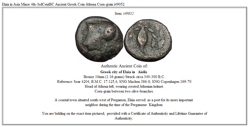 Elaia in Asia Minor 4th-3rdCentBC Ancient Greek Coin Athena Corn-grain i49052