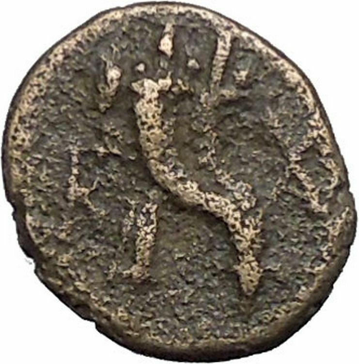 Kaunos in Caria 191BC Ancient Greek Coin Alexander the Great Cornucopia i49002