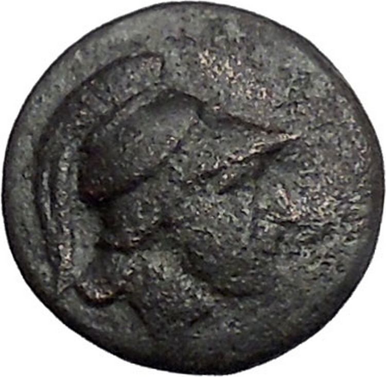 Opus in LOKRIS OPUNTIA 330BC Authentic Ancient Greek Coin Athena Grapes i49331