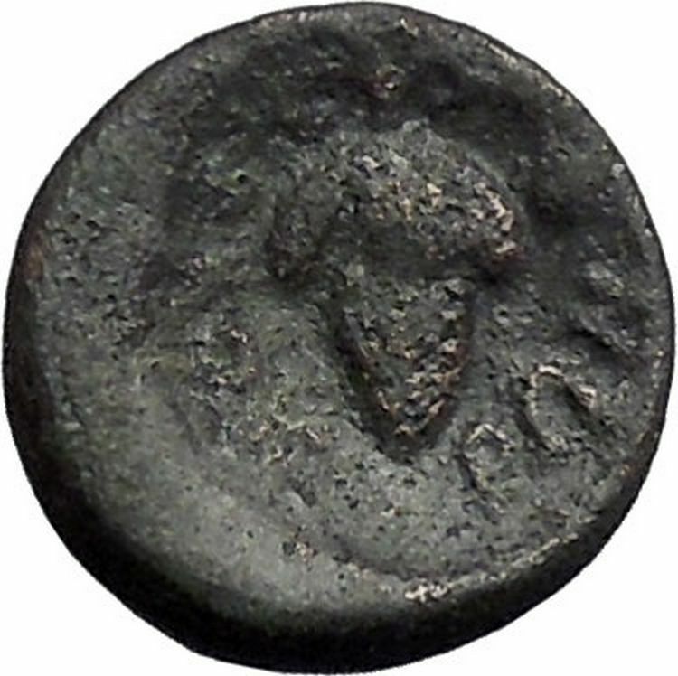 Opus in LOKRIS OPUNTIA 330BC Authentic Ancient Greek Coin Athena Grapes i49331