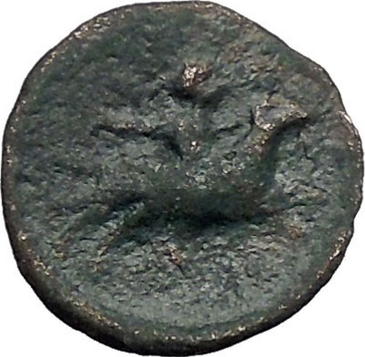 HALOS in THESSALY 302BC Zeus Phrixus on GOLDEN Ram RARE Greek Coin i49340