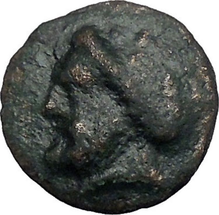 HALOS in THESSALY 302BC Zeus Phrixus on GOLDEN Ram RARE Greek Coin i49340