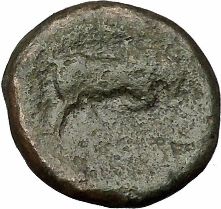 SELEUKOS I Nikator 312BC Seleukid Kingdom Medusa Bull Ancient Greek Coin i51986