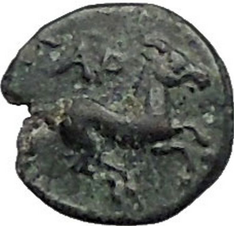 GARGARA in TROAS 350BC Apollo Horse RARE TINYAuthentic Ancient Greek Coin i56057