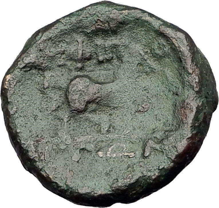 AMPHIPOLIS in Macedonia 146BC RARE R2 Ancient Greek Coin POSEIDON & HORSE i62435