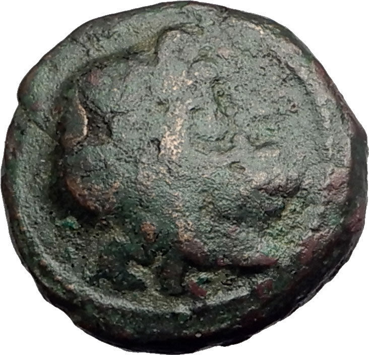 AMPHIPOLIS in Macedonia 146BC RARE R2 Ancient Greek Coin POSEIDON & HORSE i62435