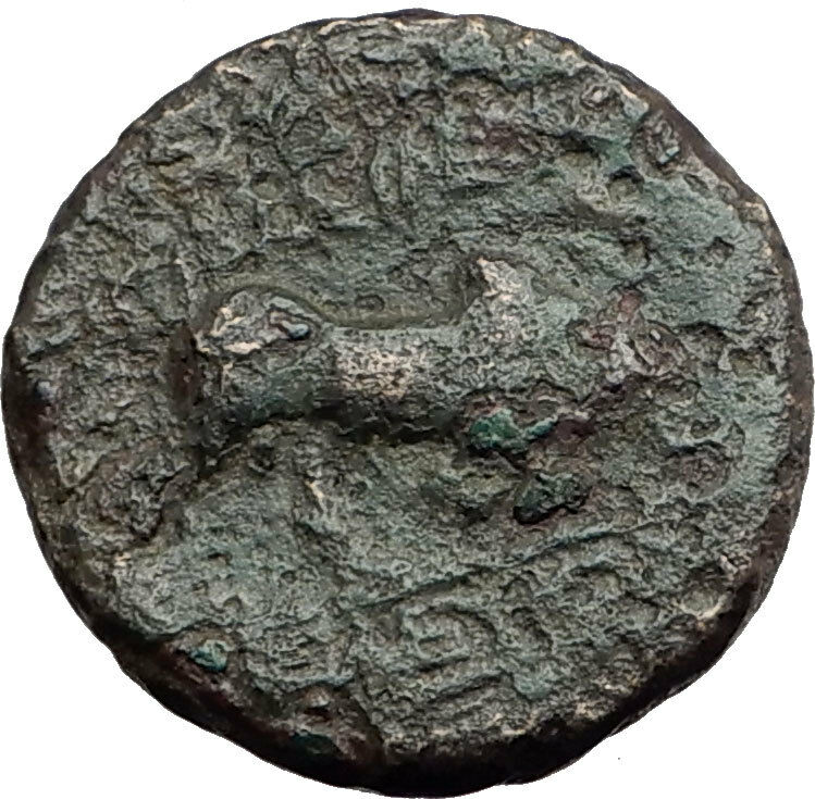 SELEUKOS I Nikator 312BC Genuine Ancient SELEUKID Greek Coin MEDUSA BULL i62836