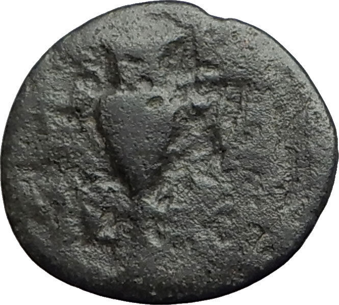 MYRINA in AEOLIS 2-1cBC Authentic Ancient Greek Coin APOLLO AMPHORA LYRE i63143