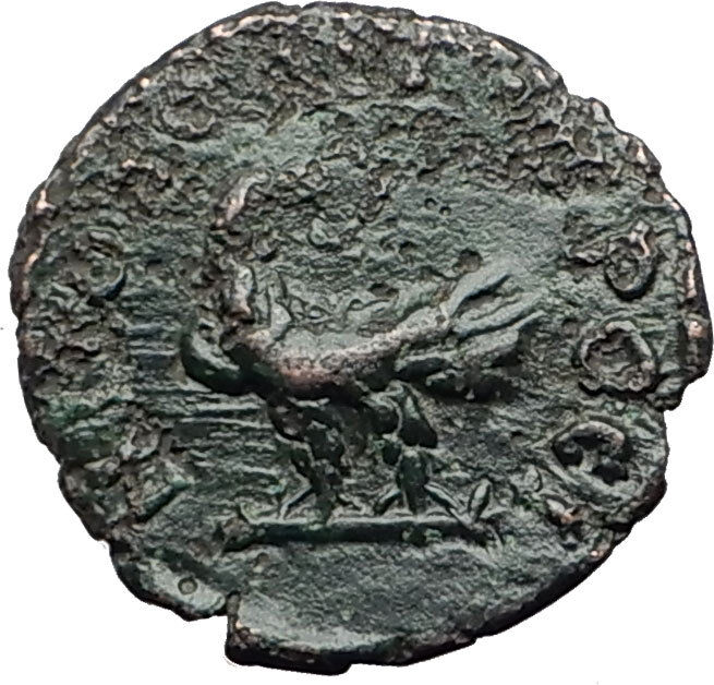 SEPTIMIUS SEVERUS 193AD Nicopolis ad Istrum Ancient Roman Coin w EAGLE i65045