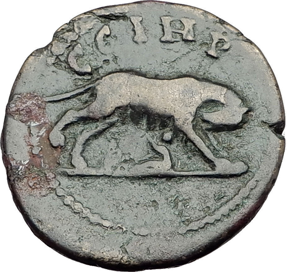 COMMODUS 188AD Parium Parion Mysia Authentic Ancient Roman Coin WOLF i65162