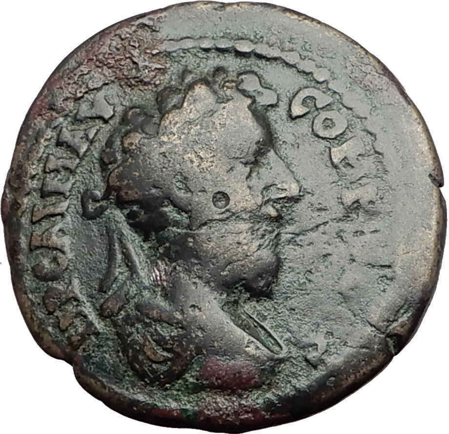 COMMODUS 188AD Parium Parion Mysia Authentic Ancient Roman Coin WOLF i65162