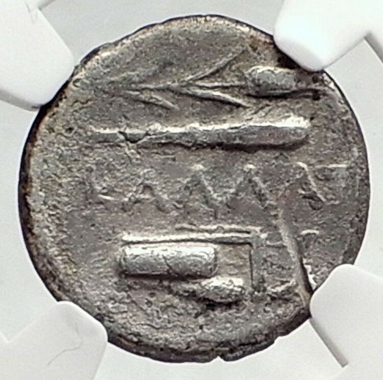 KALLATIS in MOESIA Black Sea Ancient Silver Greek Coin HERCULES NGC i73022