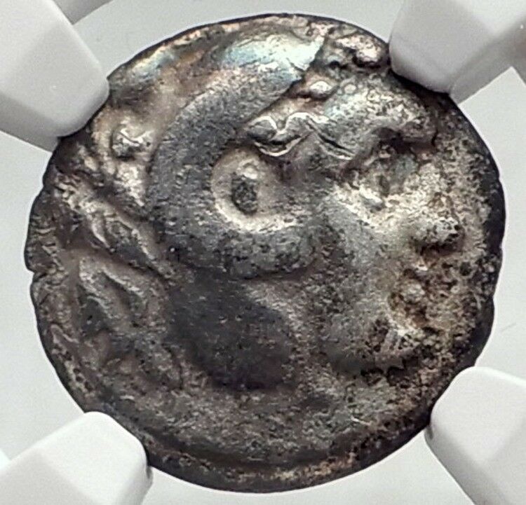 KALLATIS in MOESIA Black Sea Ancient Silver Greek Coin HERCULES NGC i73022