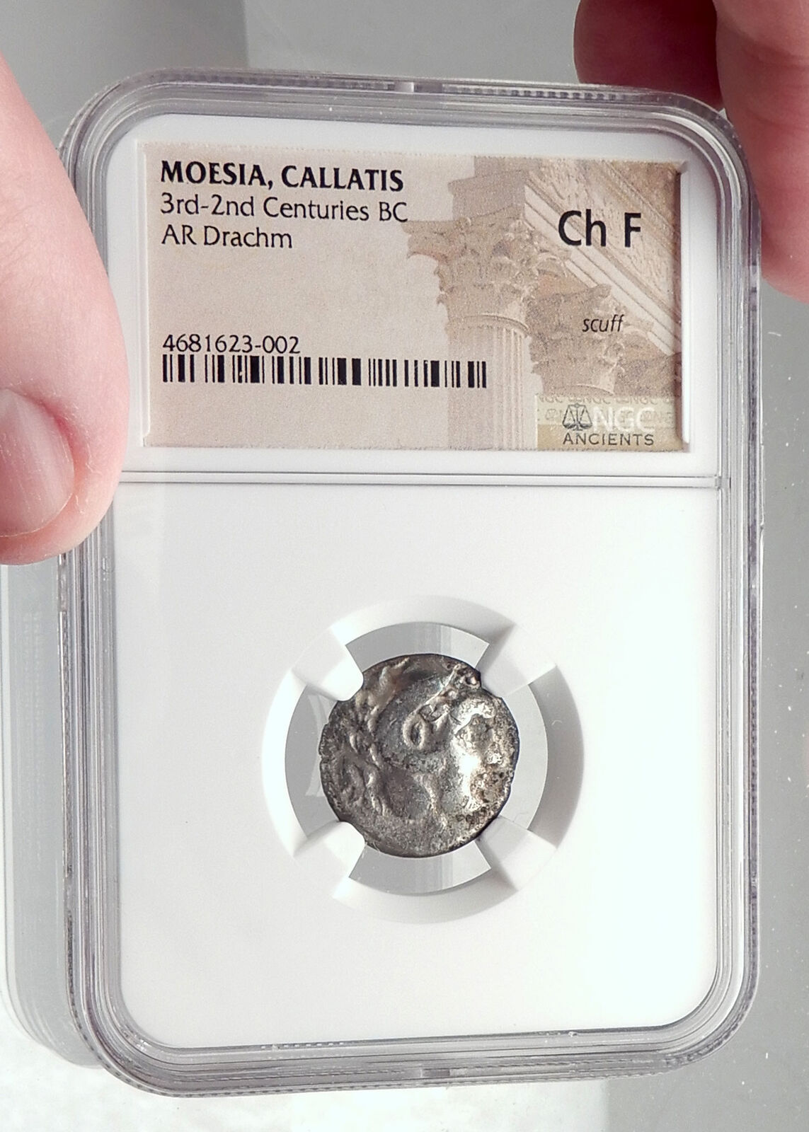 KALLATIS in MOESIA Black Sea Ancient Silver Greek Coin HERCULES NGC i73022