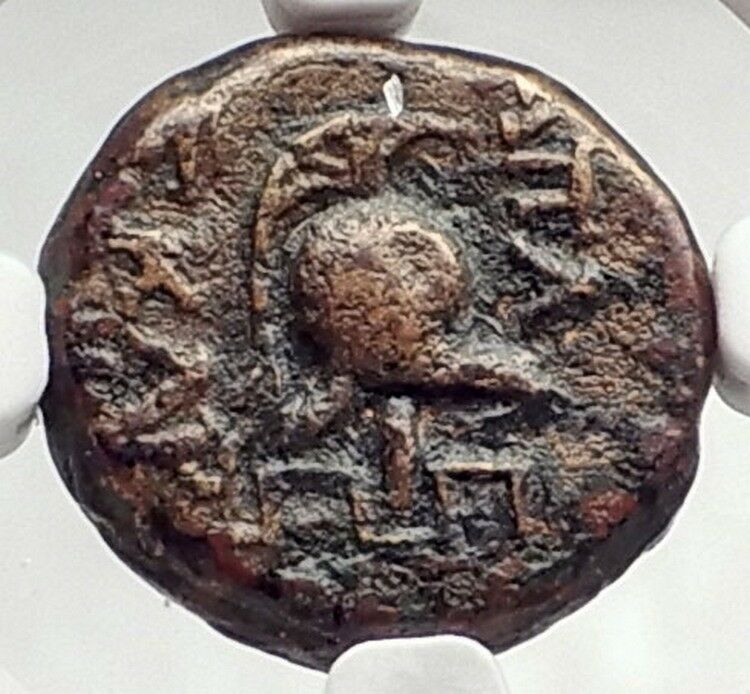 APAMEIA in PHRYGIA Authentic Ancient RARE R2 88BC Greek Coin ZEUS NGC i73046