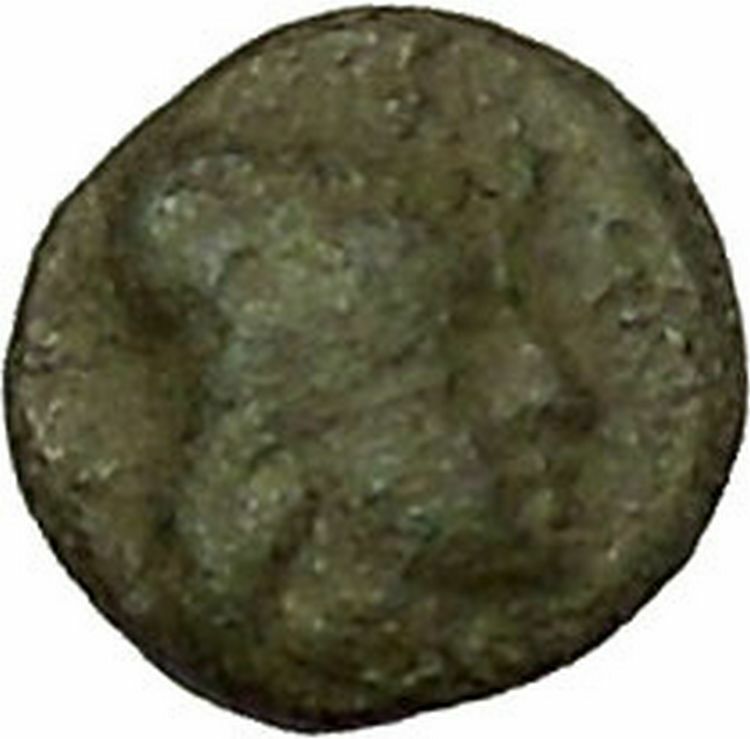 RARE Possibly Unpublished Authentic Ancient Greek Coin Lion Male Head i40314