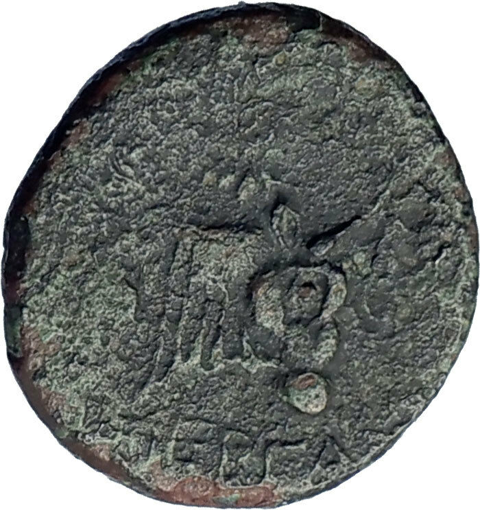 Pergamon in Mysia 310BC Authentic Ancient Greek Coin Athena Bull i73730