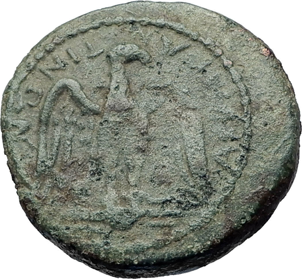 AKRAGAS in SICILY Genuine Authentic Ancient 125BC Greek Coin ZEUS & EAGLE i73835