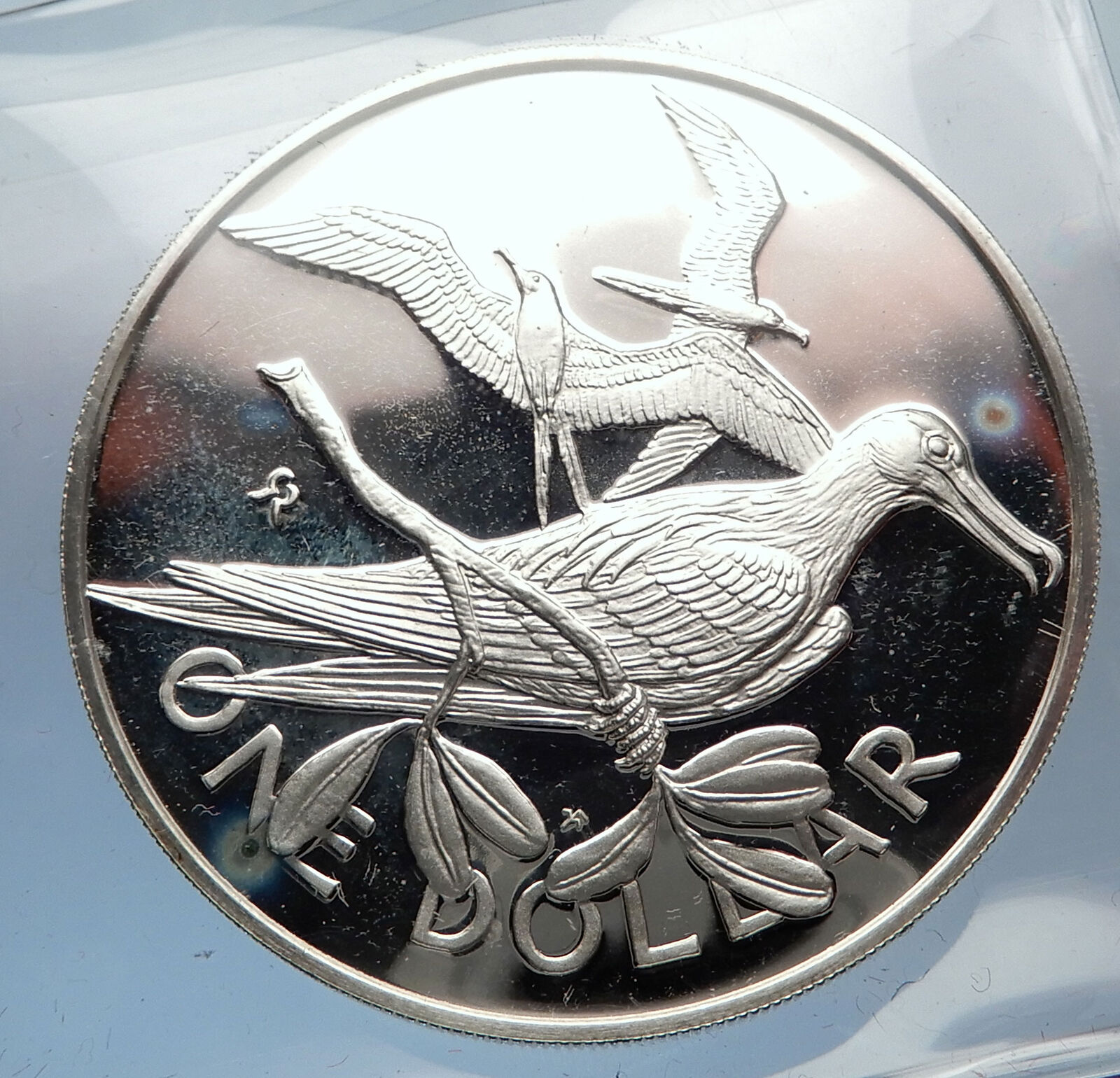 1975 Proof British Virgin Islands w UK Queen Elizabeth II Silver $1 Coin i71394