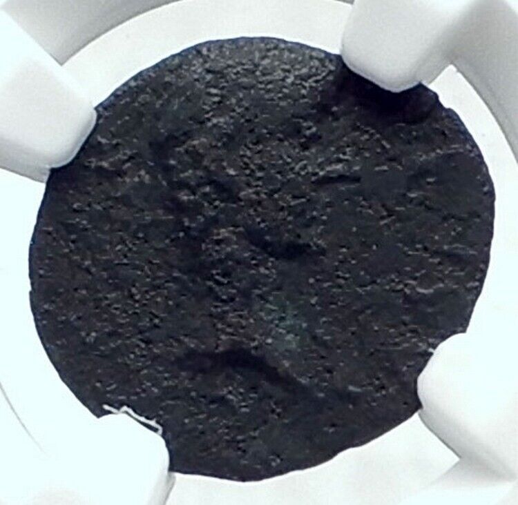 DRUSUS Son of TIBERIUS Rare 22AD Salamis Cyprus Ancient Roman Coin NGC i77636