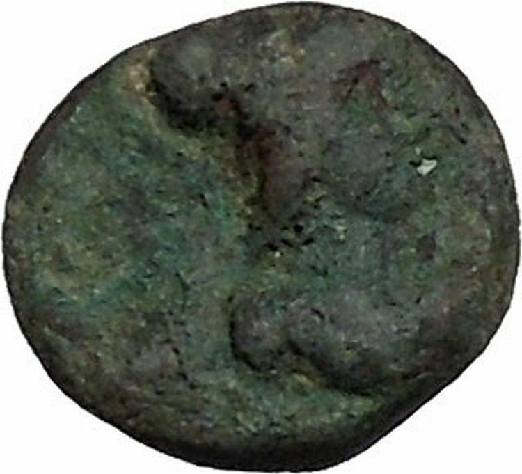 AIGAIN in CILICIA 69AD Athena Goat Rare Authentic Ancient Greek Coin i41634