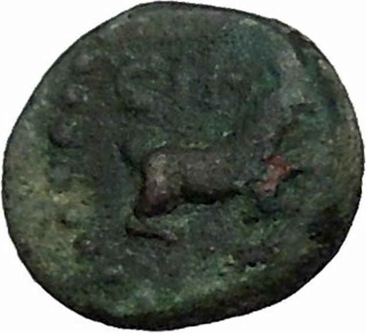 AIGAIN in CILICIA 69AD Athena Goat Rare Authentic Ancient Greek Coin i41634