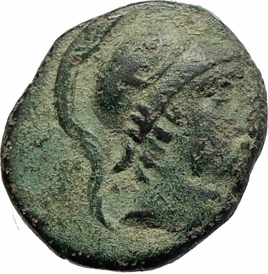 CHABAKTA Pontus MITHRADATES VI the GREAT Time Ancient Greek Coin ARES i77039