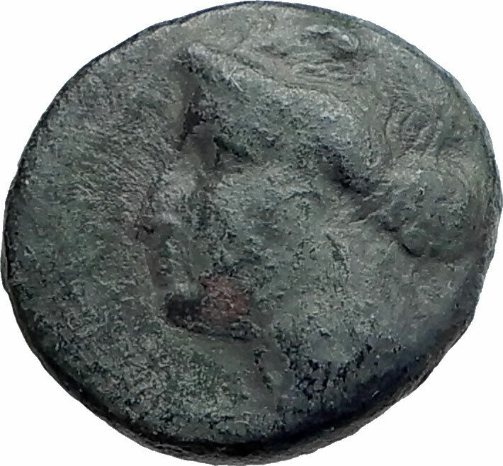 PHALANNA in THESSALY Authentic Ancient 325BC Roman Coin w MAN on HORSE i74900