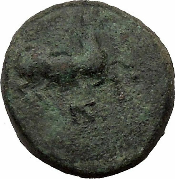 Maroneia in Thrace 400BC Original Ancient Greek Coin Horse Vine Grapes i37027